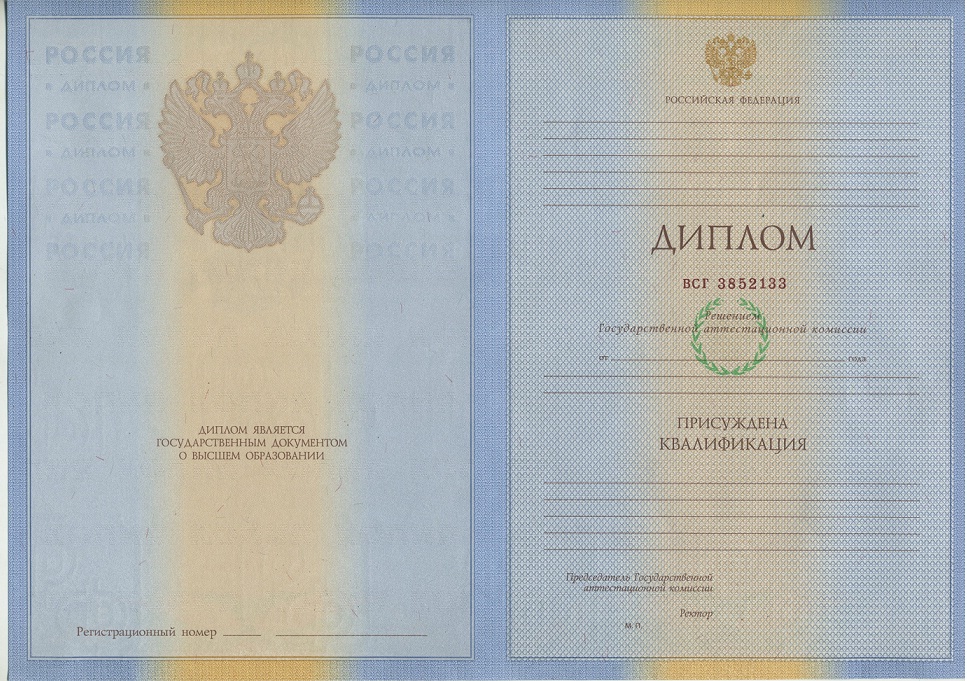 Диплом ВУЗа Гос Знак 2009 по 2011 года